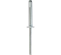 Restagraf - Rivets Expansés Blancs pour Plaques d'Immatriculation - Diamètre 4 mm - Fixation Durable sur Carrosserie ou Support Plastique - Réf. 4530 - Boîte de 250