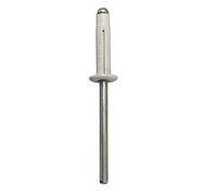 Restagraf - Rivets Expansés Blancs pour Plaques d'Immatriculation - Diamètre 4 mm - Longueur 25 mm - Réf. 4529 - Sachet de 30