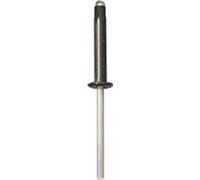 Restagraf - Rivets Expansés Noirs pour Plaques d'Immatriculation - Diamètre 4 mm - Longueur 25 mm - Réf. 4527 - Sachet de 30