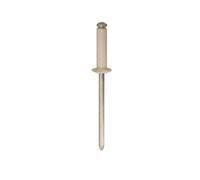 RESTAGRAF - Rivets rivets epanouis peints - 4925