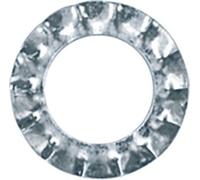 Restagraf - Rondelle Éventail à Denture Externe (AZ) - Diamètre 7 x 12 mm - NFE 27-624 - - - Répartition de Charge - Usage Automobile et Vricolage - Réf. 552 - Sachet de 35