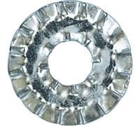 Restagraf - Rondelle Éventail Double Denture (DD) - Diamètre 6 x 18 mm - NFE 27-626 - - - Répartition de Charge - Usage Automobile et Vricolage - Réf. 531 - Sachet de 65