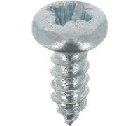 Restagraf - Vis à Tôle - Tête Cylindrique Bombée Pozidrive - Acier Zingué Blanc - Standard DIN 7981 - Fixation Carrosserie - Réf. 606 - Sachet de 60