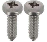 Restagraf - Vis à Tôle - Tête Cylindrique Bombée Pozidrive - Inox - Standard DIN 7981 - Fixation Carrosserie - Réf. 7105 - Sachet de 15 (Lot de 2)