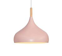 Restaurant Ceiling Light Shade LED Single Head Hollow Pendant Lamp Kitchen Island Bohemian Hanging Lights Household European Chandelier Ceiling Lights for Living Room Kitchen Hallway