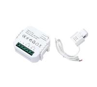 Restikiant Tuya Smart Life ZigBee Testeur d'énergie bidirectionnel 1 canal avec pince CT App Moniteur énergie solaire, 80 A, 110 V 240 V CA