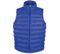 Result Ice Bird - Veste sans manches - Homme (BC2726)