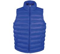 Result Urban Extérieur Vêtement Hommes Glace Oiseau Gilet Matelassé - Adulte