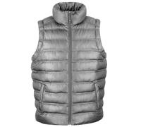 Result Urban Extérieur Vêtement Hommes Glace Oiseau Gilet Matelassé - Adulte