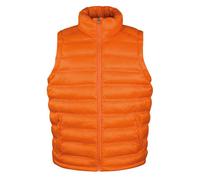 Result - Veste sans manches URBAN ICE BIRD - Homme (PC5470)