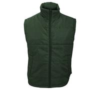 Résultat R208 X Core Doudoune sans Manche Large Vert Bouteille