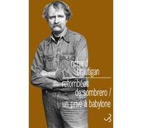 Retombées de sombrero / Un privé à Babylone Richard Brautigan (Auteur)