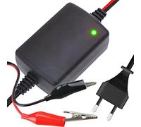 Retoo Chargeur de Batterie 12V 1.5A Chargeur de Batterie Gel Voiture pour Voitures Classiques, Motos, Scooters, tondeuses à Gazon, Bateaux, camions, Voitures, caravanes, Batteries de Voiture