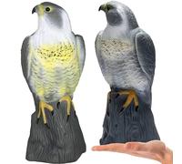 Retoo Répulsif pour oiseaux, faucon, jardin de faucon, protection de jardin, répulsif contre les parasites, oiseaux de proie factice, lutte naturelle contre les parasites, plastique, 40 x 17,5 cm