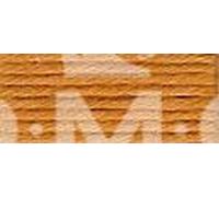 DMC 5-Strand Embroidery Soft Matte Cotton Thread 10.9yd-Medium Golden Brown