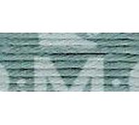 DMC 5-Strand Embroidery Soft Matte Cotton Thread 10.9yd-Medium Gray Green