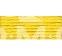 DMC 5-Strand Embroidery Soft Matte Cotton Thread 10.9yd-Lemon