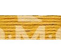 DMC 5-Strand Embroidery Soft Matte Cotton Thread 10.9yd-Topaz
