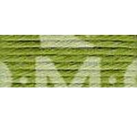 DMC 5-Strand Embroidery Soft Matte Cotton Thread 10.9yd-Light Avocado Green