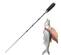 Retractable Fishing Rod, 2 Stage Telescopic Angling Pole, Compact Travel Casting Rod for Saltwater Ice Surf, Sturdy Carbon Fiber Material with Anti Slip Grip Design, Portable Angler Equipment