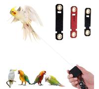 Rétractable Laisse pour Oiseaux, 2m Harnais pour Oiseaux avec 3 Tailles d'Anneaux de Pied Laisse pour Perroquet Kit d'Entraînement au vol en Plein Air pour Calopsittes Perruches (Noir)