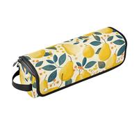 Retro Pears Étui de voyage 2 en 1 pour fer à friser avec tapis de fer à lisser et sèche-cheveux, Poires rétro, 14.6"x 3.9"