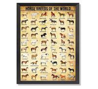 Retro Style Horse Breeds Chart, World Equine Knowledge Poster for Living Room, Study & Country Decor(Unframed,16x24inch(40x60cm))