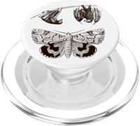 Retro Victorian Line Art Aesthetic Cottagecore Academia PopSockets PopGrip pour MagSafe