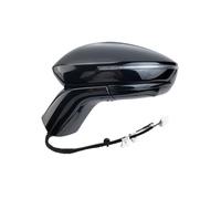 Rétroviseur 12 + 1 Broches Pour Chery Pour Omoda Pour C5 Latéral Extérieur Avec Caméra D'angle Mort Rétroviseurs Latéraux(L side black)