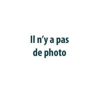 Retroviseur Elect. Complet Droit 10/99 Appretavec Sonde Temp. Sensor Pour Renault Clio