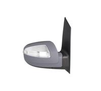 Rétroviseur extérieur BLIC 5402-02-2001836P