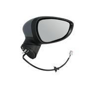 TYC Rétroviseur extérieur 310-0129