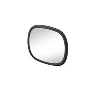 Rétroviseur Extérieur des Deux Côtés 165 MM Ø 12 Noir HELLA pour U. A. Case IH