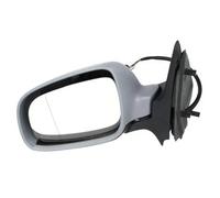 Rétroviseur extérieur gauche asphérique 5402-04-1125199P BLIC pour VW POLO