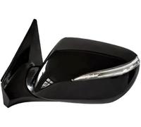 Rétroviseur noir Ensemble de rétroviseurs 10 broches pour Hyundai IX45 2013-2015(10pins left)