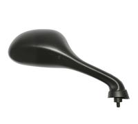 Rétroviseur P2R 29843