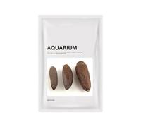 RETUOLWAG Aquariums délicats paysages plantes naturelles terrarium paysage crevettes aquariums décoration d'aquarium