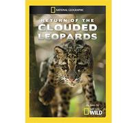 Return of The Clouded Leopards /