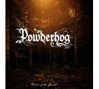 Return Of The Gaucho