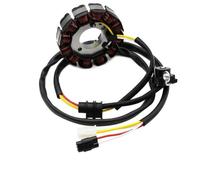 REUISAX Bobine de Stator de générateur de Moto, Compatible avec WR450F WR450