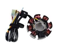 REUISAX Bobines d'allumage Bobine de Stator 55139004100 55139004000 Compatible avec EXC 250 300XCW 200 XC XCW EXC-E 250R Freeride