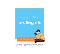 Réussir son Bac de français 2024 : Analyse du recueil Les Regrets de Joachim du Bellay