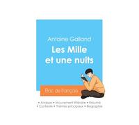 Réussir son Bac de français 2024 : Analyse des Mille et une nuits de Antoine Galland