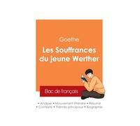 Réussir son Bac de français 2025 : Analyse de La Souffrance du jeune Werther de Goethe