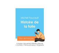 Réussir Son Bac De Philosophie 2024 : Analyse De L'histoire De La Folie De Michel Foucault