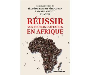 Réussir vos projets d'affaires en Afrique - Sègbédji Parfait Aïhounhin - Hermann - broché - Etude
