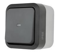 REV AquaStorm Interrupteur de contrôle pour pièces humides IP55, unipolaire, montage en saillie, 230 V, 10 A, anthracite