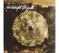 Rev. Dwight Frizzell - Natural Selection