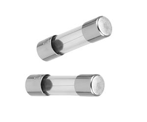 REV Lot de 2 fusibles temporisés en verre 1,6 A, 5 x 20 mm, argentés