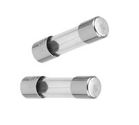 REV Lot de 2 fusibles temporisés en verre de 0,25 A - 5 x 20 mm - Argenté